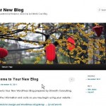 Your New Blog Website